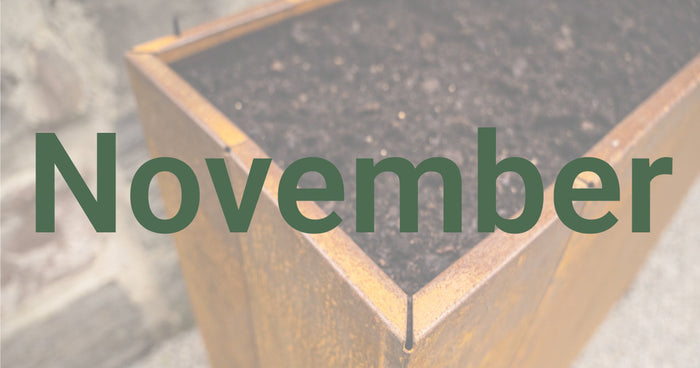Gartentipps für den November