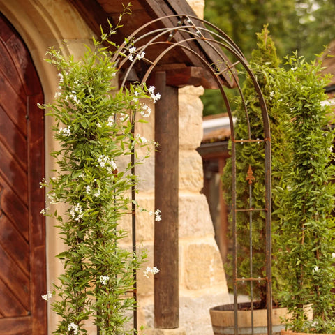 Rosenbogen Consenza aus Metall in Rostoptik