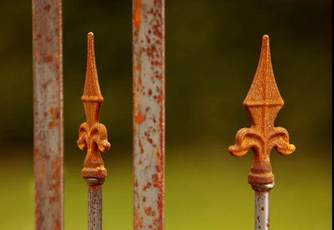 Rosenbogen Consenza in Rostoptik Detailaufnahme