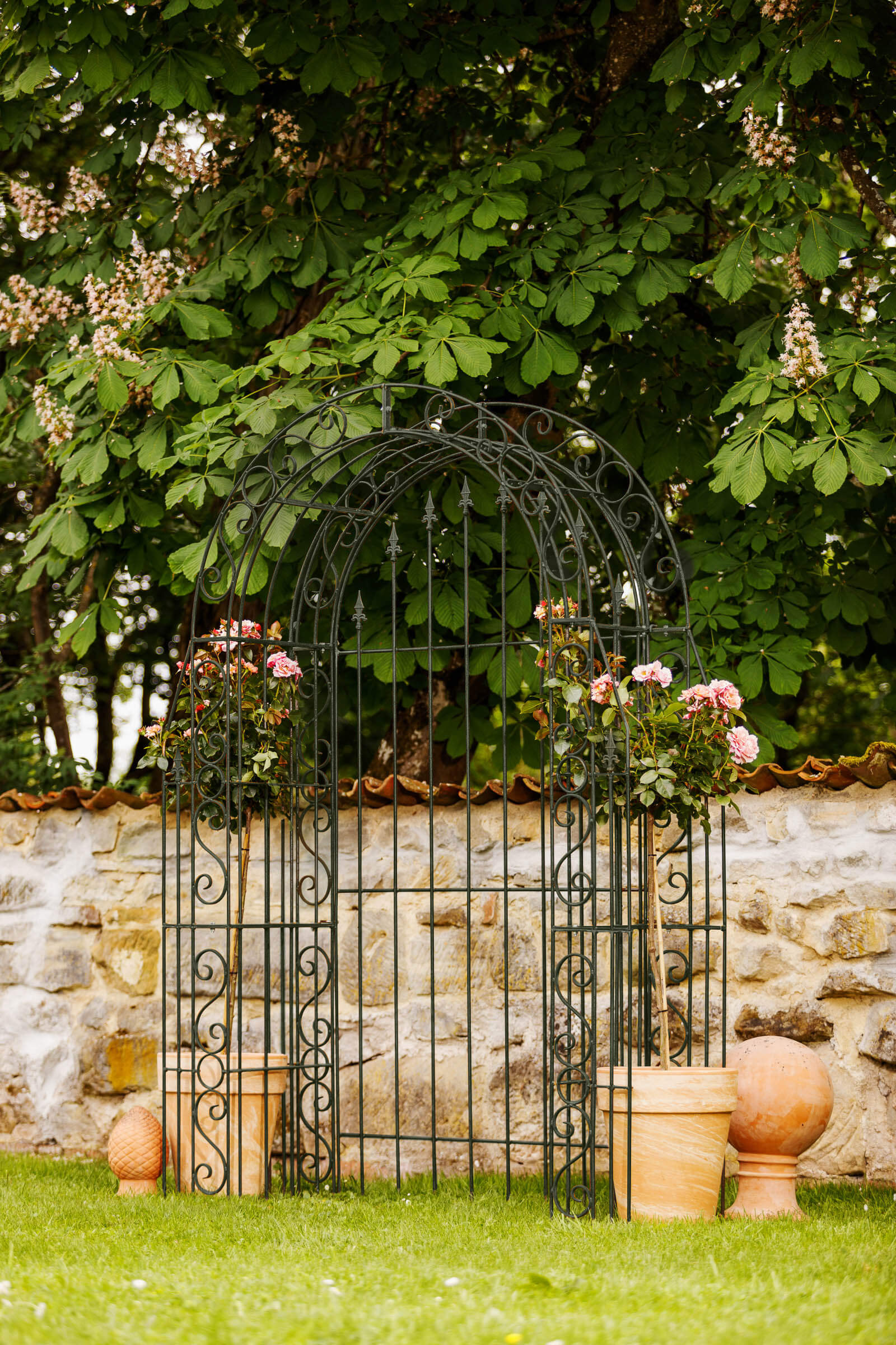 Rosenbogen Calabria mit Rückwand RAL 6009 Tannengrün