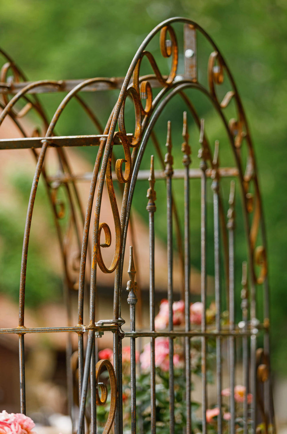 Rückwand Calabria in Rostoptik Detailansicht im Rosenbogen mit geschwungenen S-Formen Rückwand Calabria in Rostoptik Detailansicht im Rosenbogen mit geschwungenen S-Formen