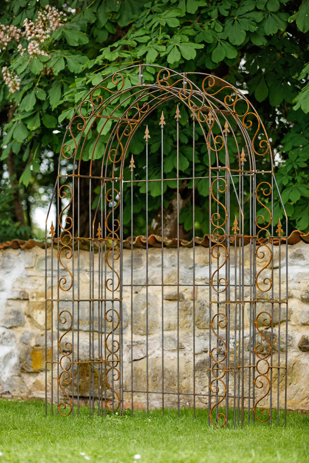 Rückwand Calabria in Rostoptik im Rosenbogen Gesamtansicht seitlich alleinstehend vor Mauer Rückwand Calabria in Rostoptik im Rosenbogen Gesamtansicht seitlich alleinstehend vor Mauer