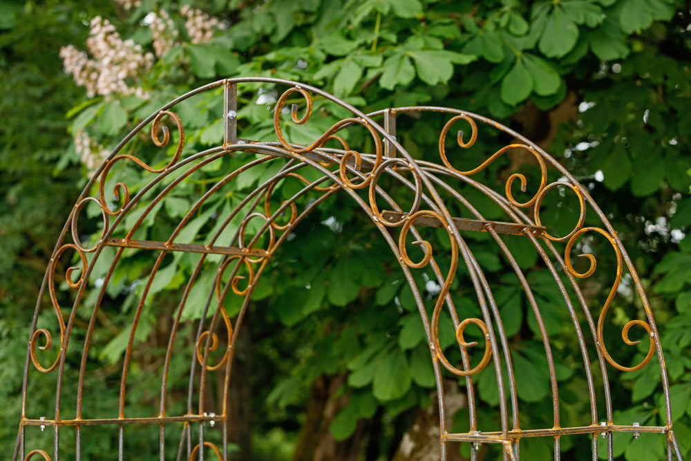 Rosenbogen Calabria aus Metall Detailansicht Oberteil Rostoptik Rosenbogen Calabria aus Metall Detailansicht Oberteil Rostoptik