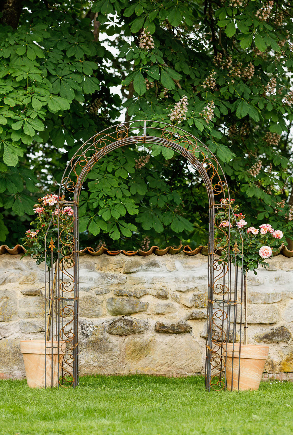 Metall Rosenbogen Calabria Frontalansicht stehend mit Rosen Metall Rosenbogen Calabria Frontalansicht stehend mit Rosen