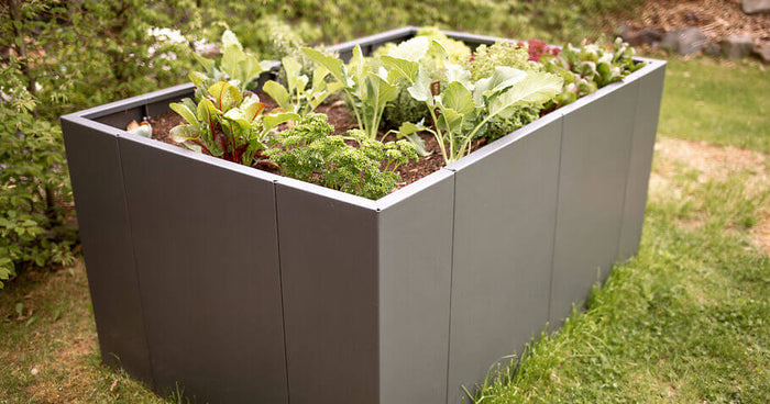 Hochbeet: Bausatz oder voll verschweißt – Was ist die beste Wahl für Ihren Garten?