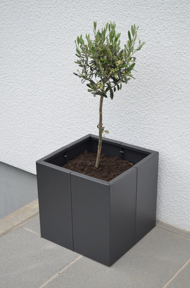 Pflanzkübel Vernazza 40x40x40 in Metall bepflanzt mit einem kleinen Baum