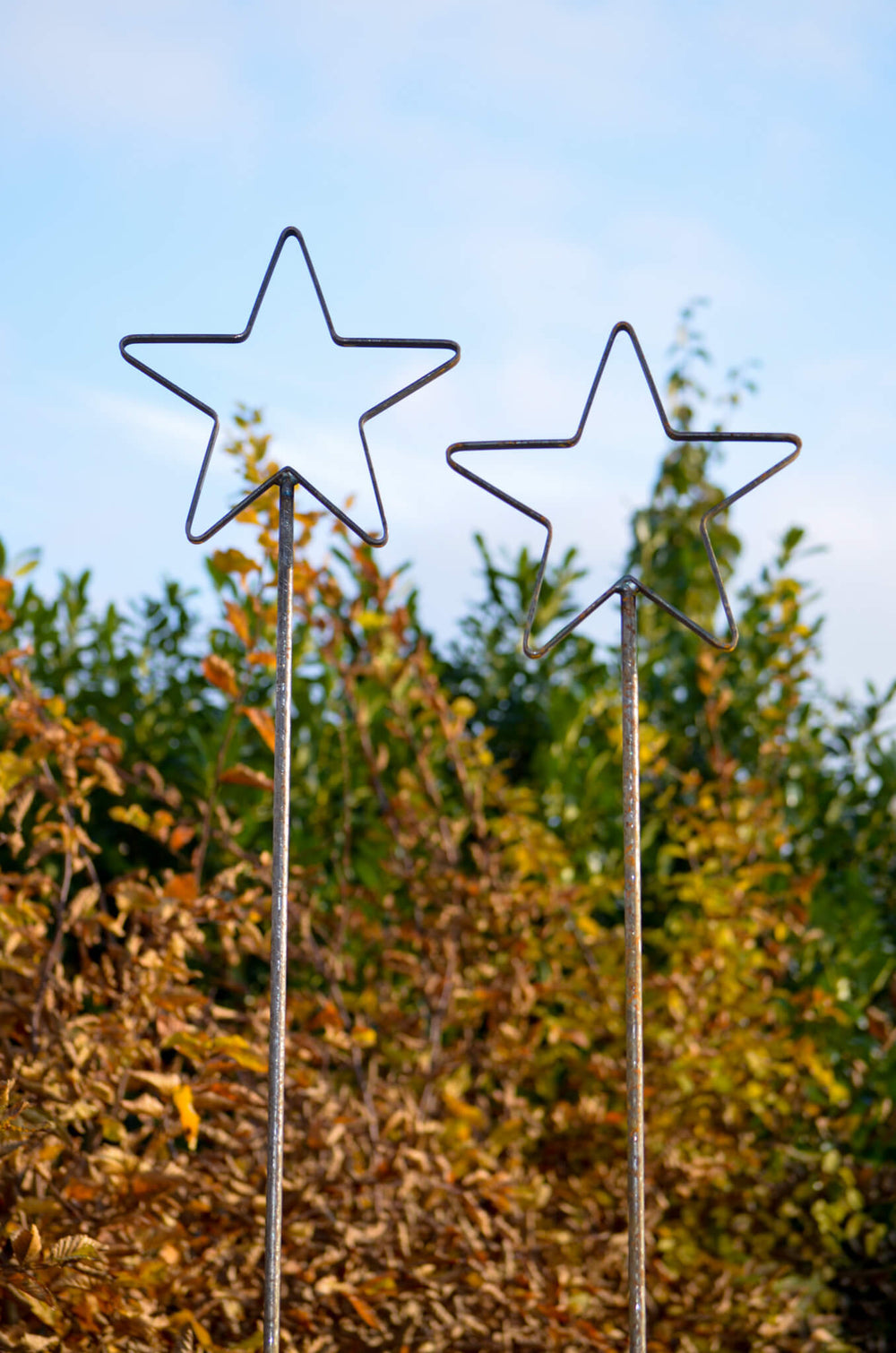 Rankstabset Tissano beide Stern-Spitzen unbeschichtet vor Laubbäumen