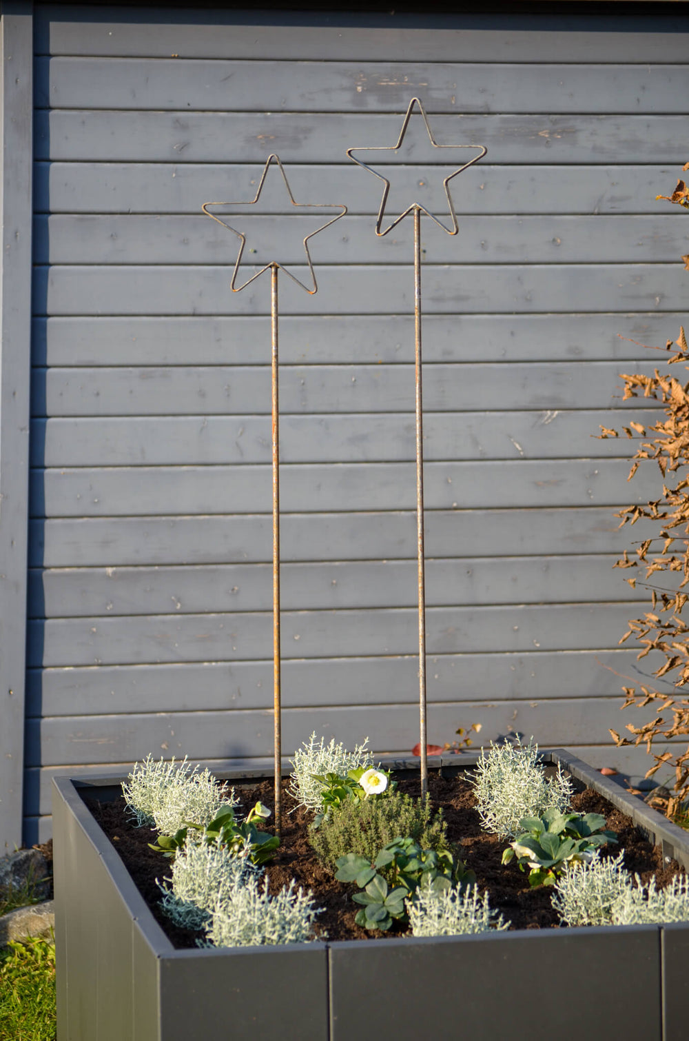Rankstabset Tissano beide Rankstäbe im Hochbeet vor Gartenhaus