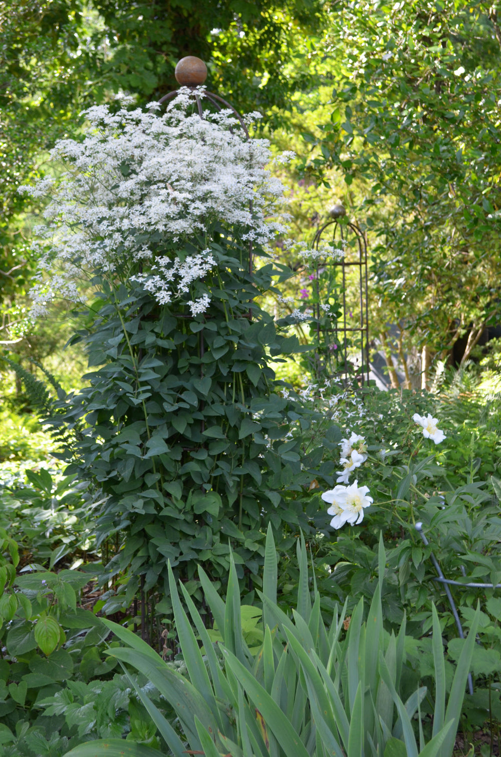 Obeliskenset Messina im grünen Garten mit weißen Blüten, unbeschichtet