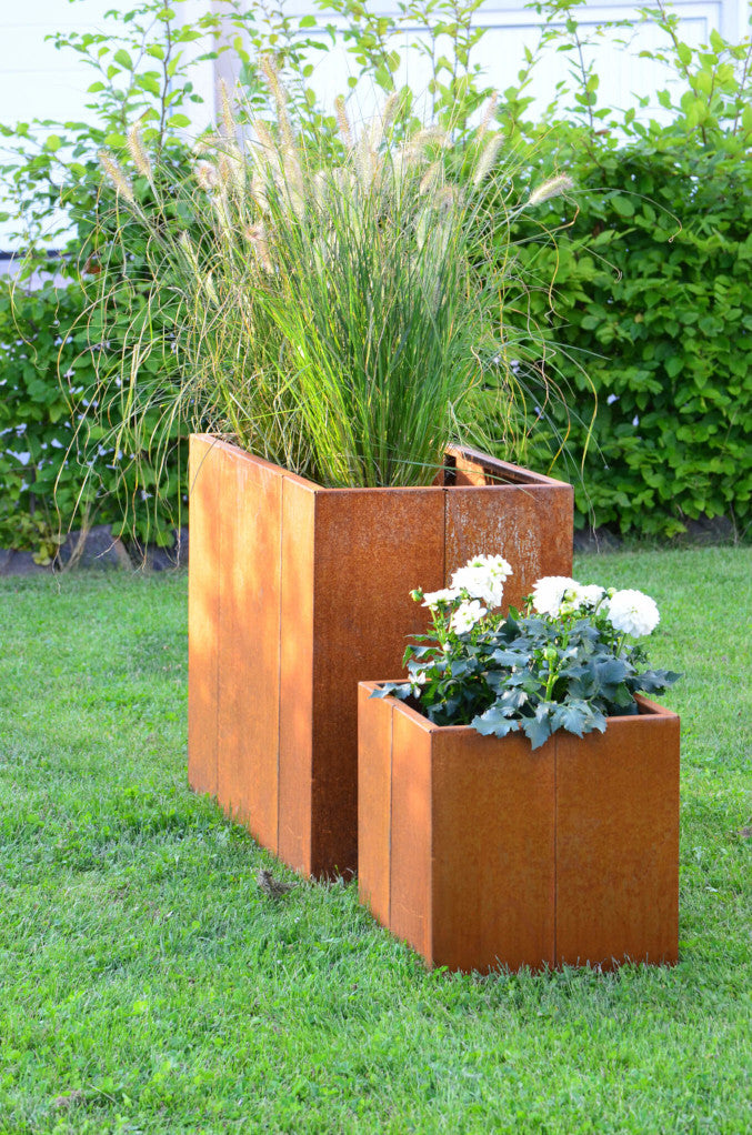 Hochbeet Monterosso 45x135x68 in Cortenstahl und Hochbeet Monterosso in 45x45x68 in Cortenstahl bepflanzt in einem grünen Garten vor einer Hecke