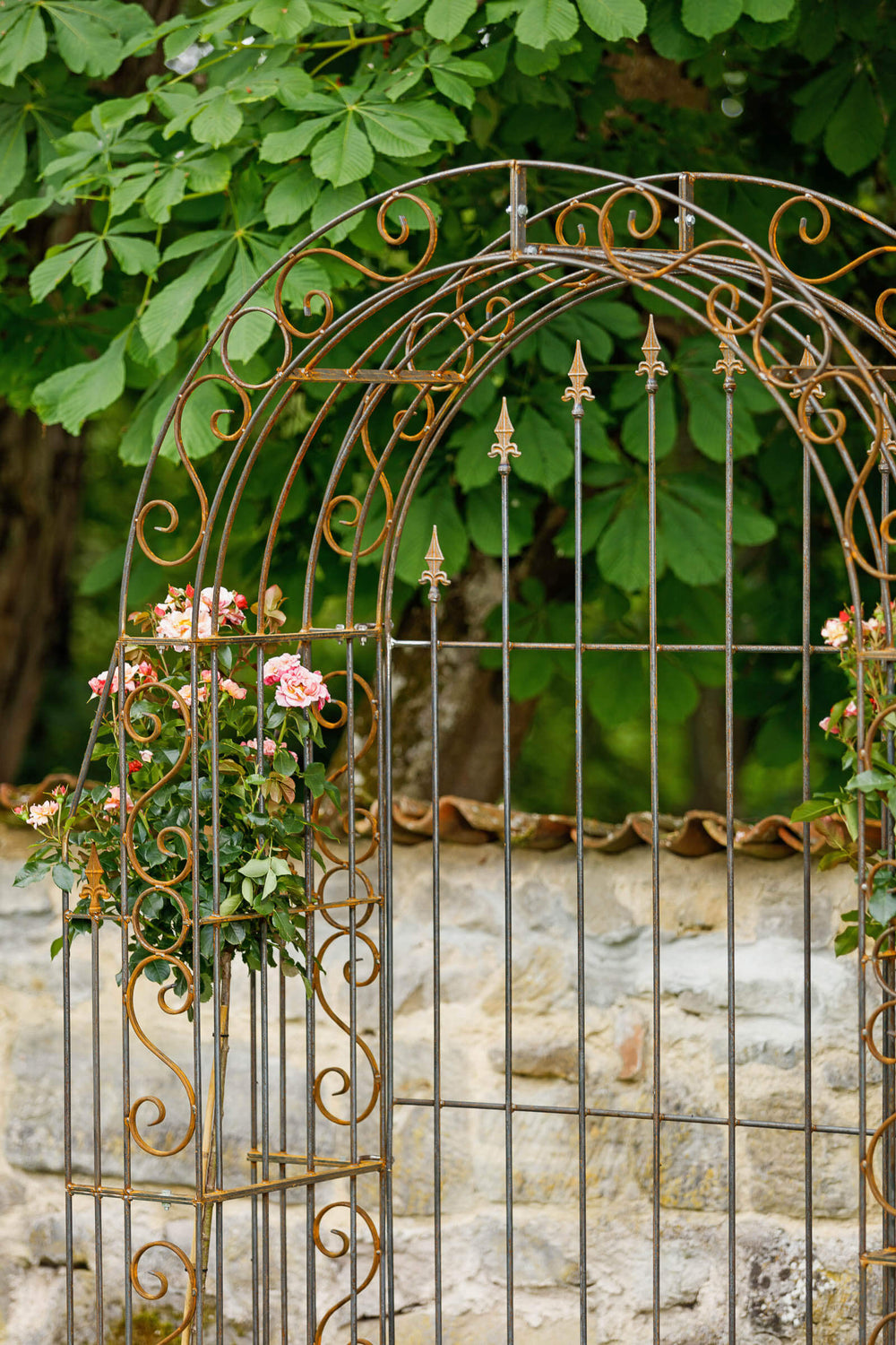 Rosenbogen Calabria mit Rückwand in Rostoptik mit seitlichen Rosen